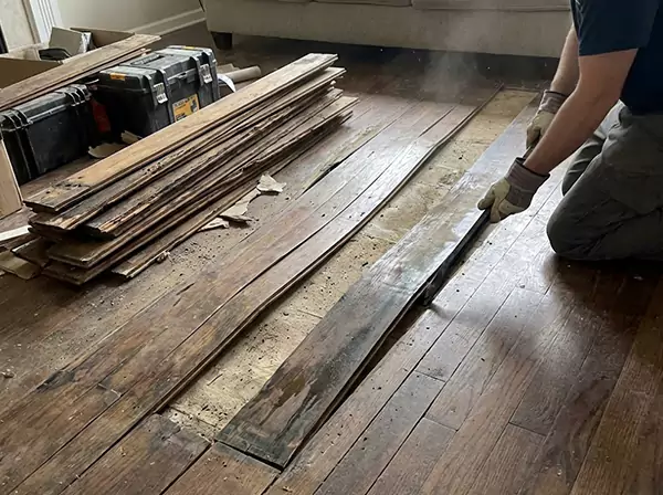 Water Damage Drying in Lindale