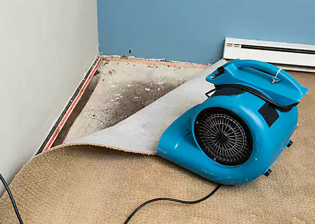 Your Water Damage Experts in Lindale, GA