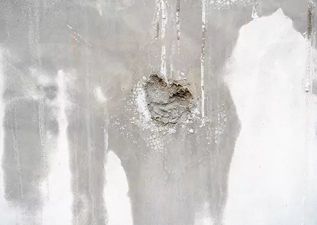 Your Mold Mitigation Solutions Partner in Lindale, GA
