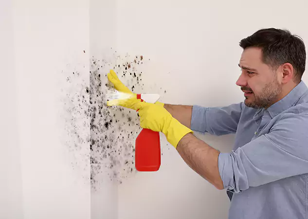 Your Water Mold Fire Restoration Partner in Lindale, GA