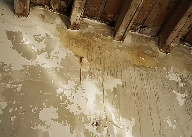 Your Trusted Restoration Company in Lindale, GA