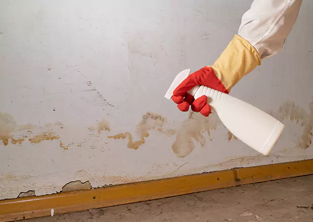 Your Water Restoration and Mold Remediation Specialists in Lindale, GA
