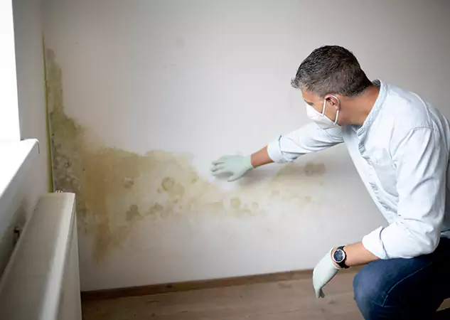Reach Our Remediation Team Before Damage Grows in Lindale, GA!