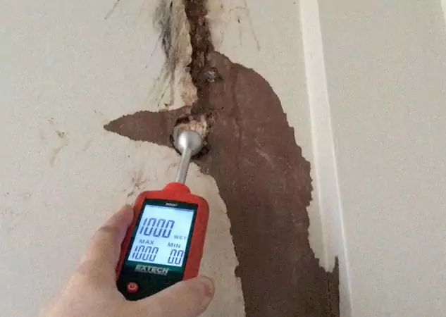 Your Water Damage Assessment Partner in Lindale, GA