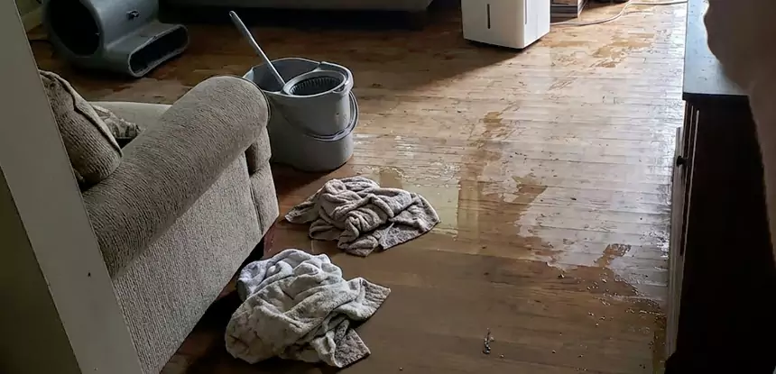 Professional Basement Water Remediation Services in Lindale, GA