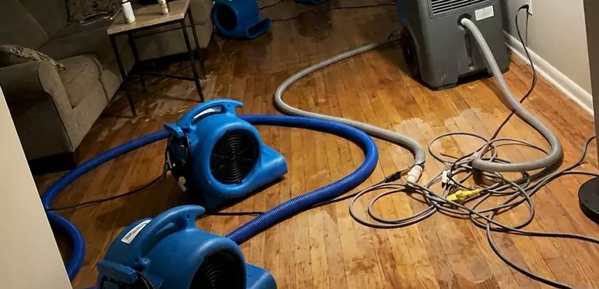 Basement Flood Restoration Services in Lindale