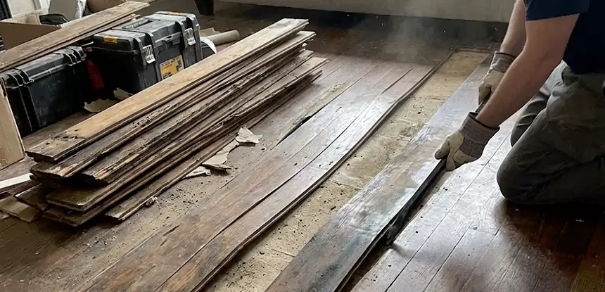 Wood Rot and Fungus Repair in Lindale