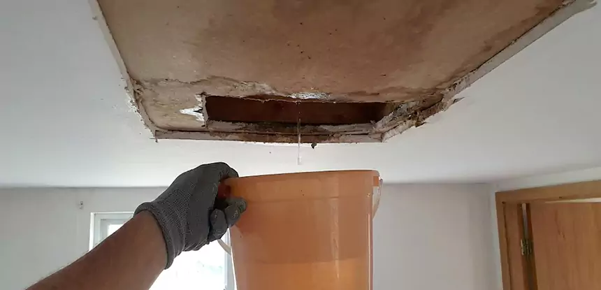 Ceiling Mold Repair Lindale 