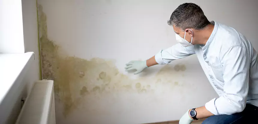 Mold and Water Damage Repair in Lindale