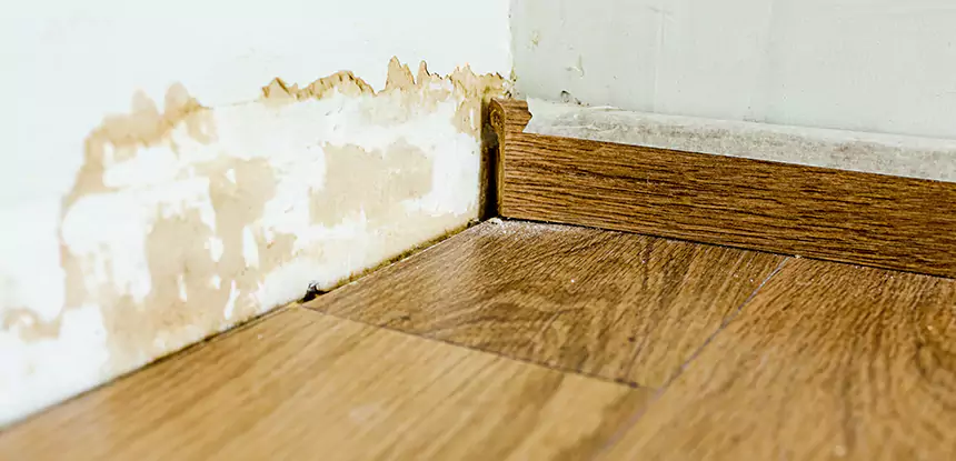 Professional Fix Water Damaged Wood Services in Lindale, GA
