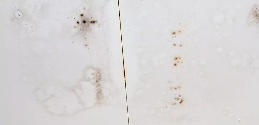 Professional Water Stain Repair Services in Lindale, GA