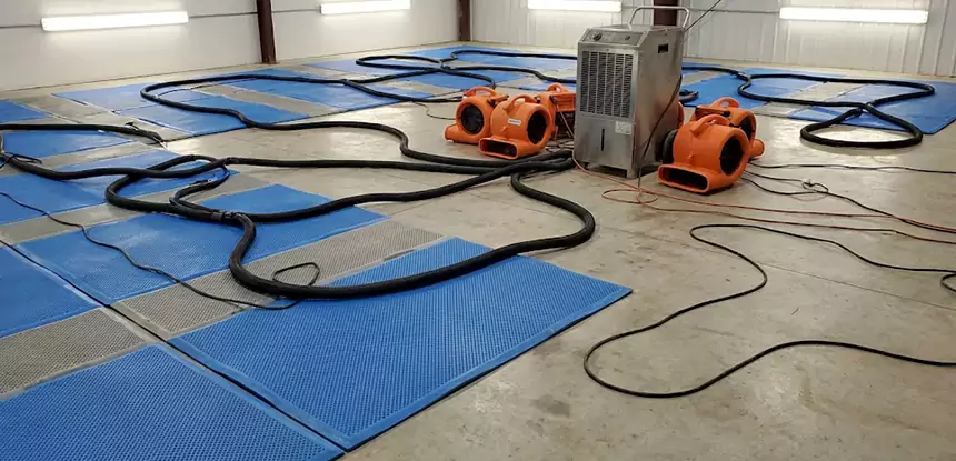 Professional Flooded Carpet Drying Services in Lindale, GA