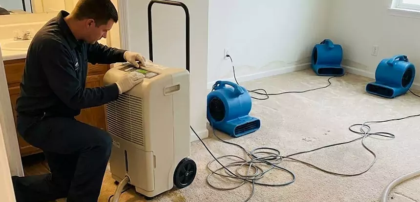 Professional Wet Carpet Removal Services in Lindale, GA