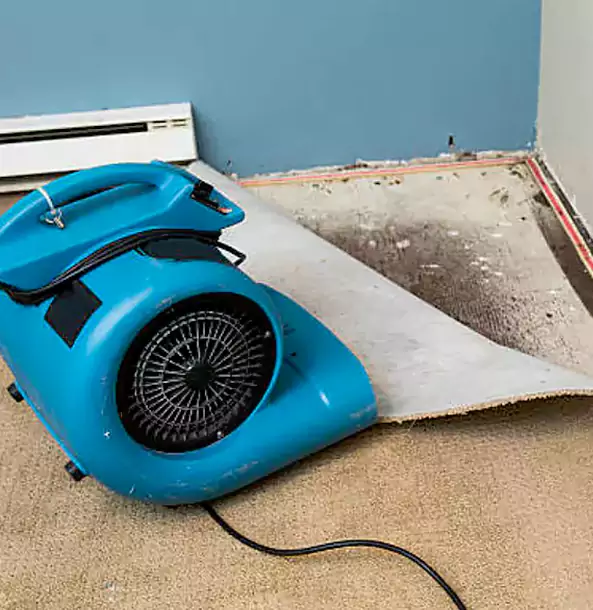 Why Lindale Trusts Lindale Restoration Pro for Carpet Flood Recovery?