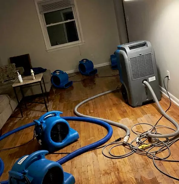Why Lindale Calls Lindale Restoration Pro First for Emergency Restoration?