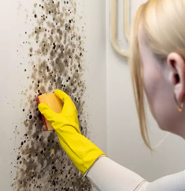 Why Lindale Restoration Pro Leads Mold Remediation in Lindale?