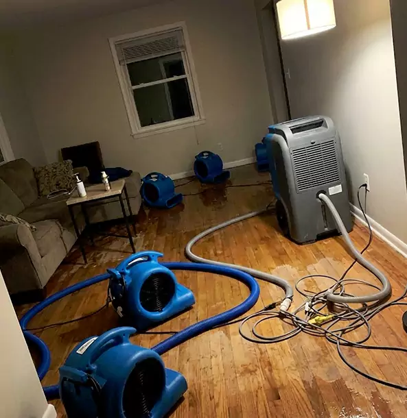 Why Lindale Property Owners Rely on Lindale Restoration Pro for Remediation?