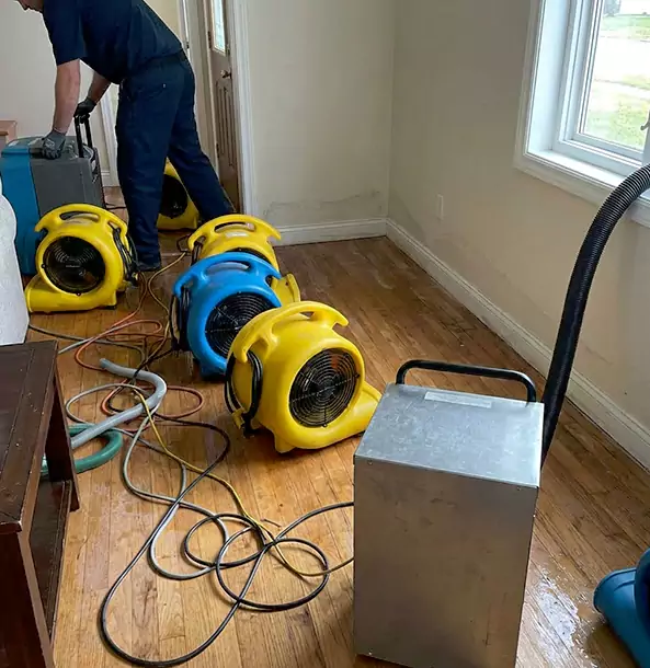 Why Lindale Property Owners Choose Lindale Restoration Pro for Remediation?
