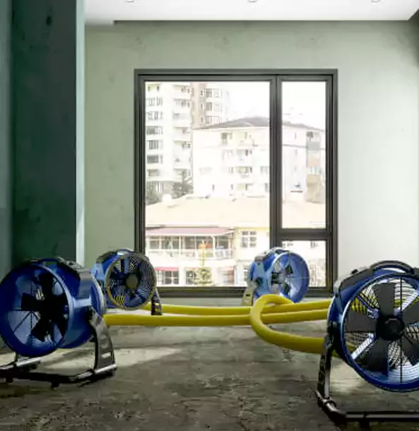 Why Lindale Property Owners Trust Lindale Restoration Pro for Water Damage Drying?