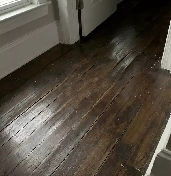 Why Lindale Homeowners Trust Lindale Restoration Pro to Fix Water Damaged Wood?