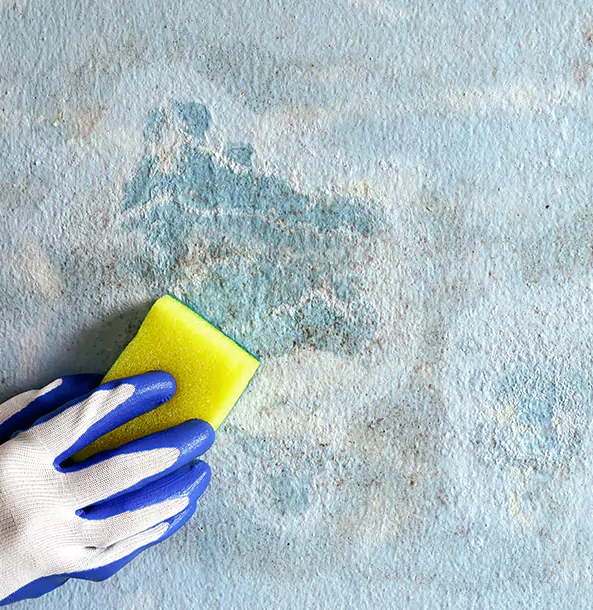 Why Lindale Restoration Pro Is the Right Choice in Lindale, GA?