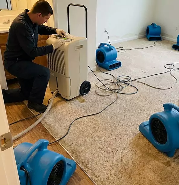 Why Lindale Homeowners and Businesses Trust Lindale Restoration Pro for Carpet Drying?