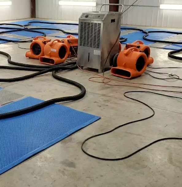 Why Lindale Homeowners and Businesses Choose Lindale Restoration Pro for Wet Carpet Removal?