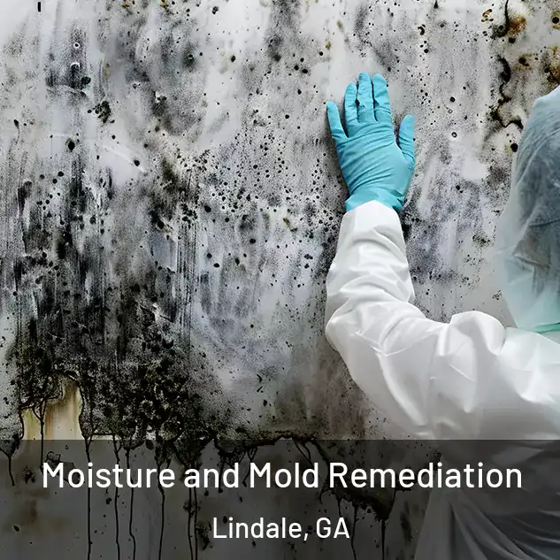  Moisture and Mold Remediation Lindale, GA