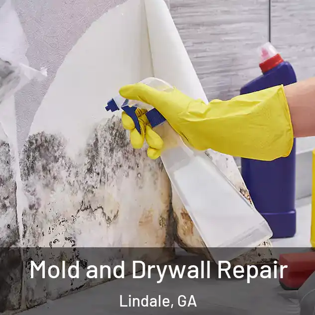  Mold and Drywall Repair Lindale, GA