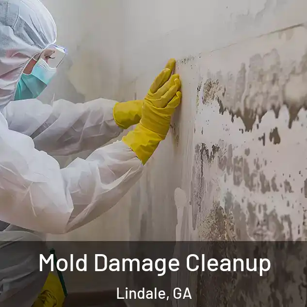  Mold Damage Cleanup Lindale, GA