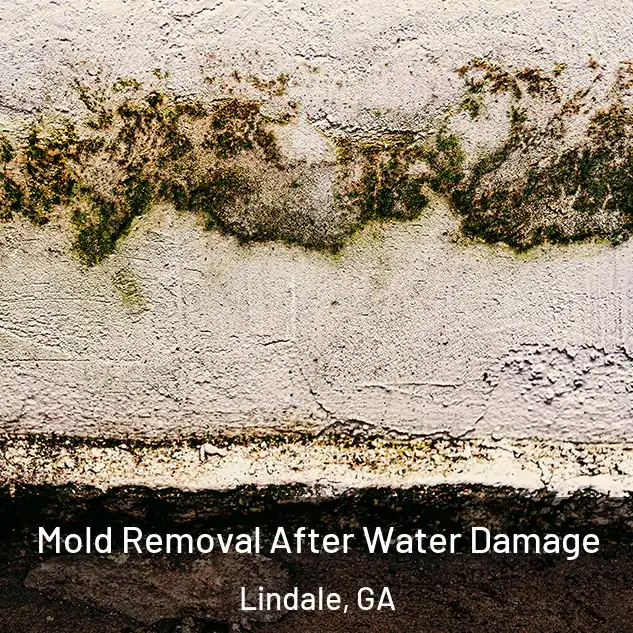  Mold Removal After Water Damage Lindale, GA
