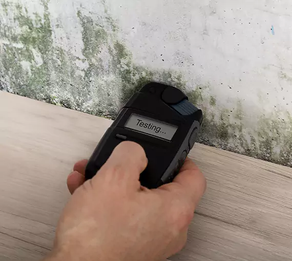 Mold Remediation Service Lindale