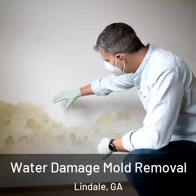  Water Damage Mold Removal Lindale, GA