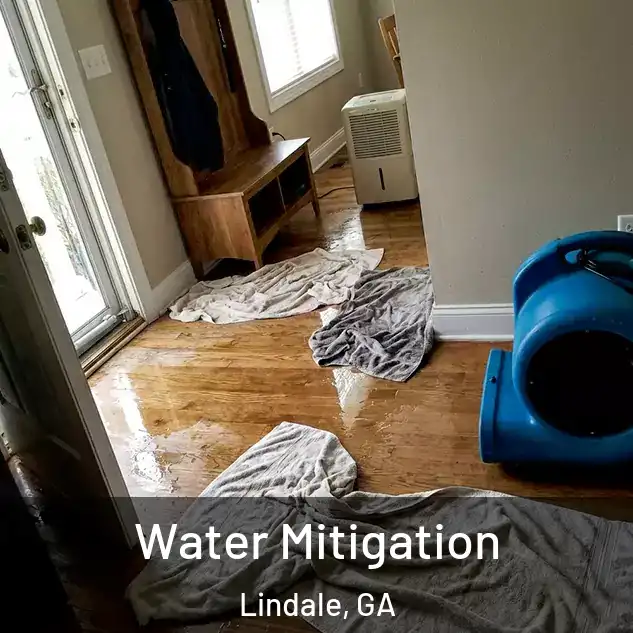  Water Mitigation Lindale, GA